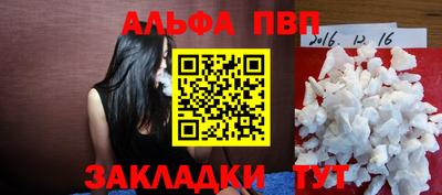 шишки Новодвинск