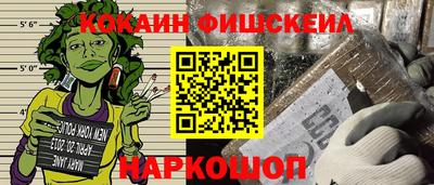 шишки Новодвинск