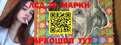 шишки Новодвинск