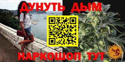 гидра Новокубанск