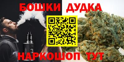 шишки Новодвинск