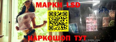 шишки Новодвинск