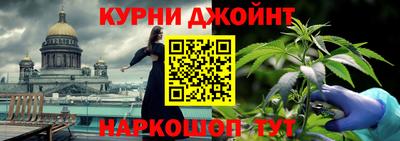 шишки Новодвинск