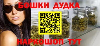 шишки Новодвинск