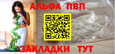 шишки Новодвинск