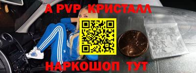 шишки Новодвинск