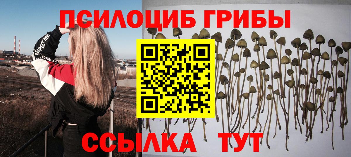 Псилоцибиновые грибы GOLDEN TEACHER Обь
